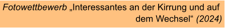Fotowettbewerb „Interessantes an der Kirrung und auf  							dem Wechsel“ (2024)