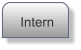 Intern
