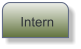 Intern